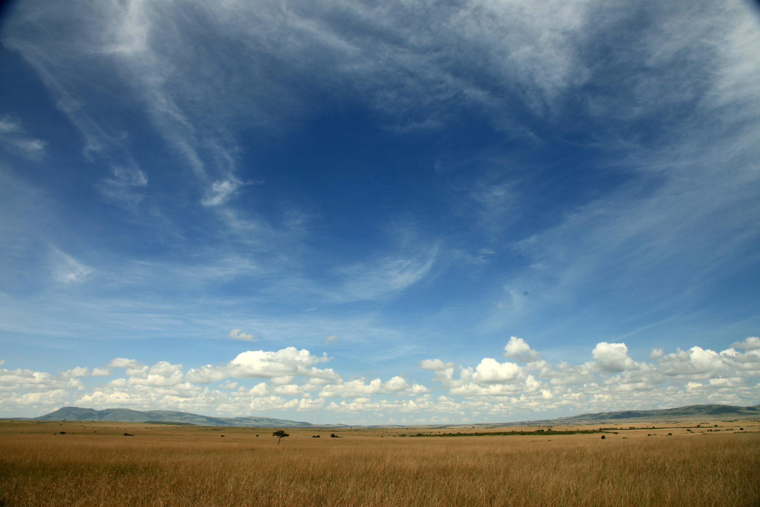 A railroad through the Pleistocene