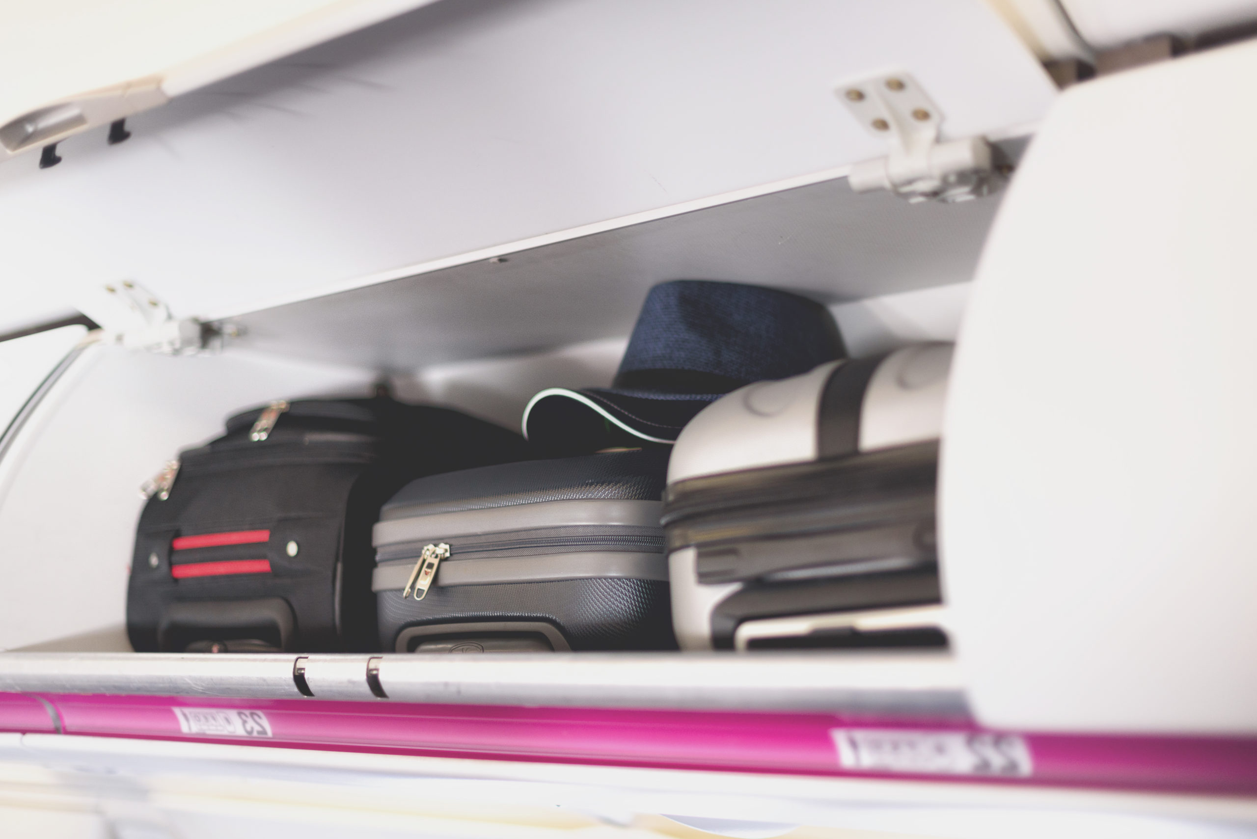 Fly safari luggage outlet
