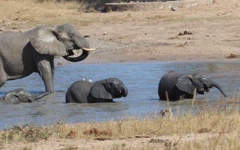 A step back in time: Zimbabwe’s Gonarezhou National Park