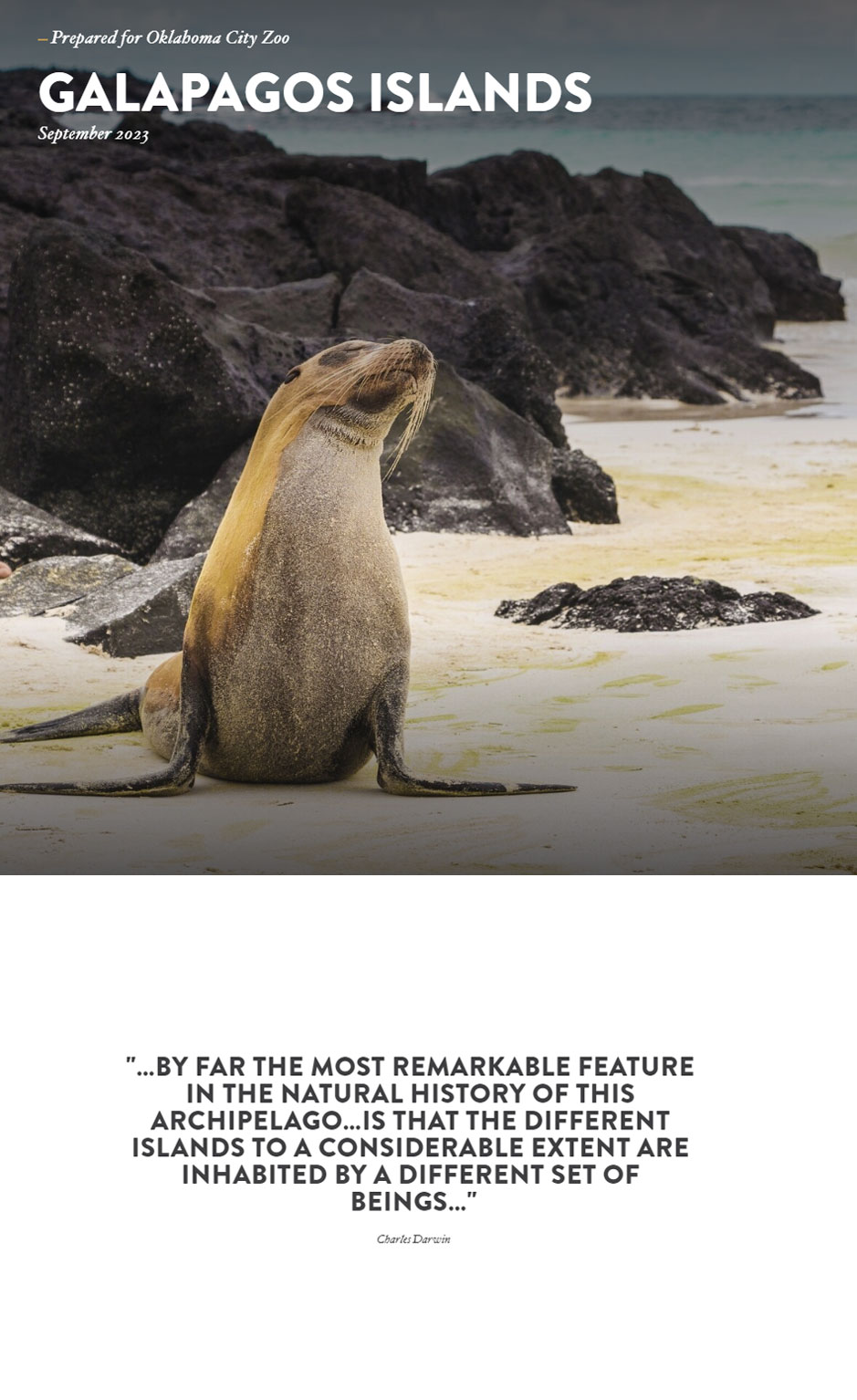 Galapagos-Island-mob