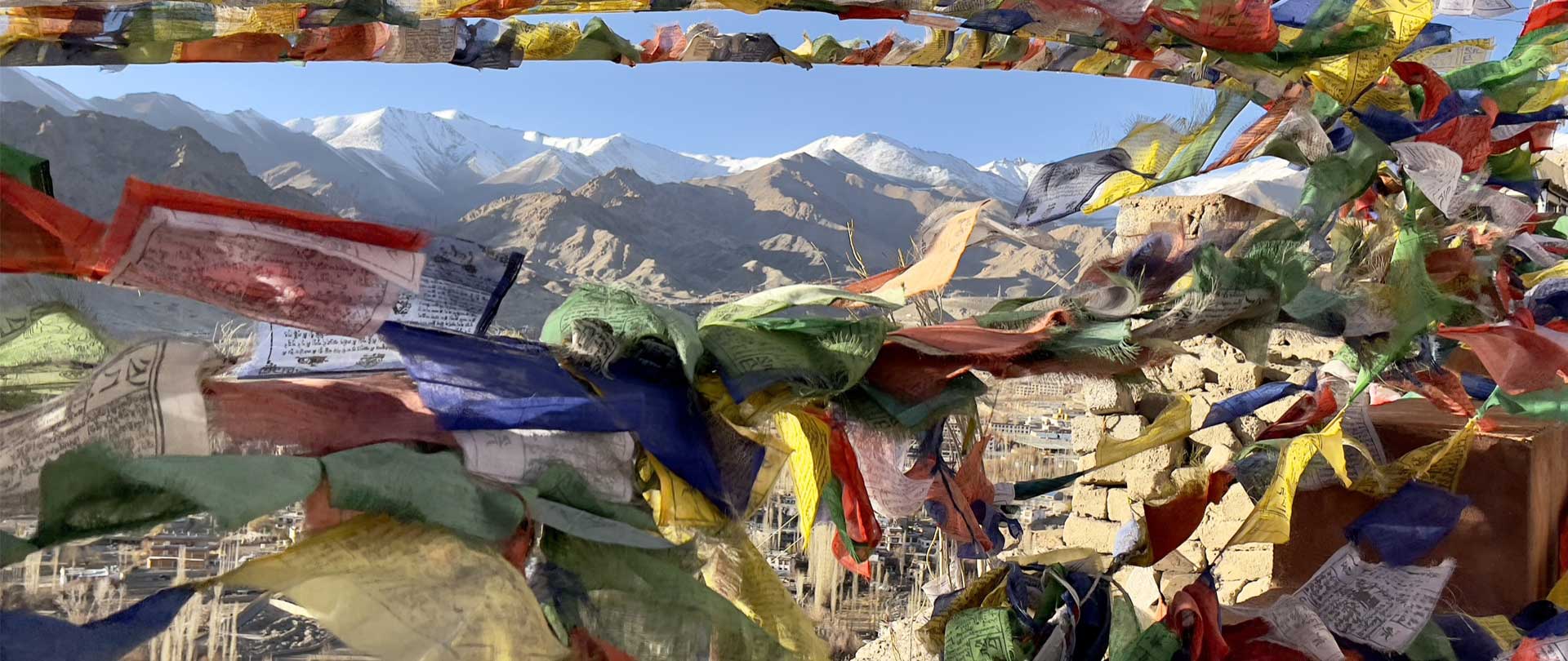 Searching for Snow Leopards in Ladakh