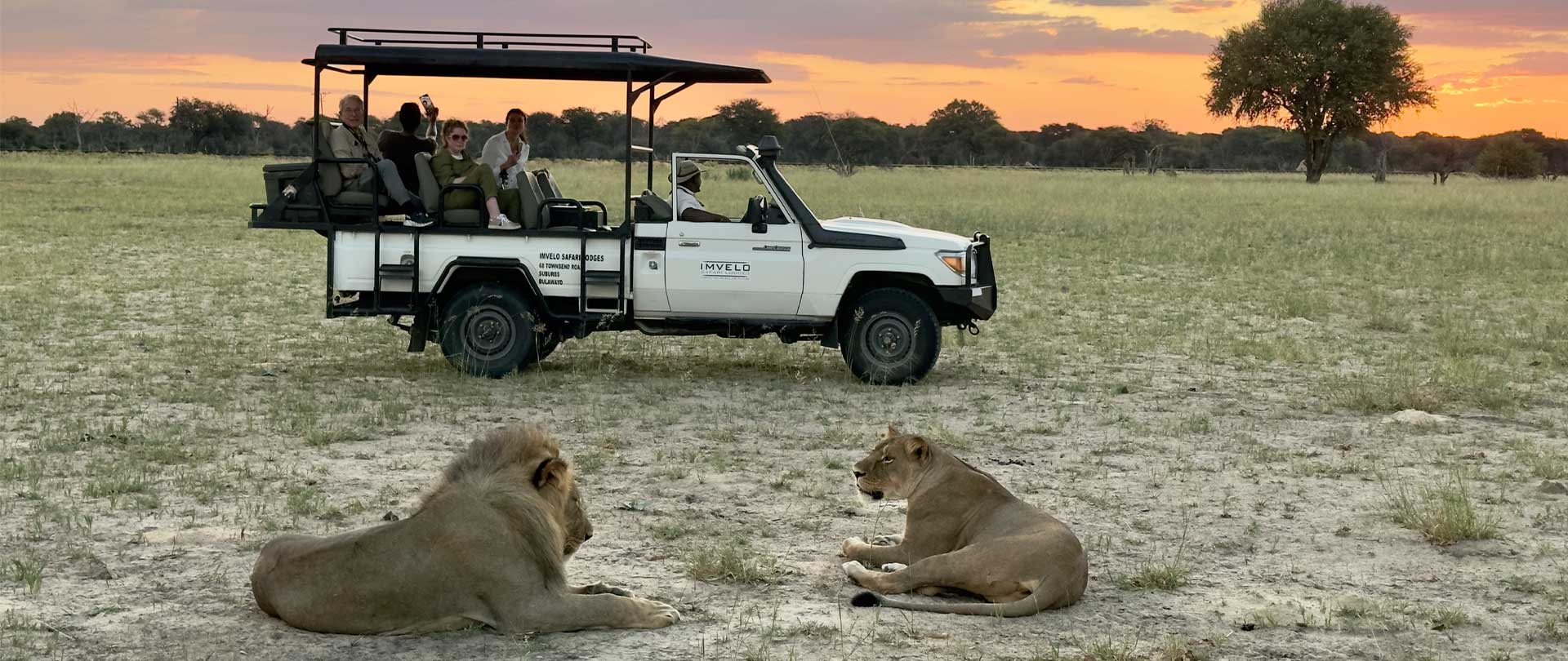 Hwange National Park: Exploring Nature’s Majesty and Community Conservation Efforts